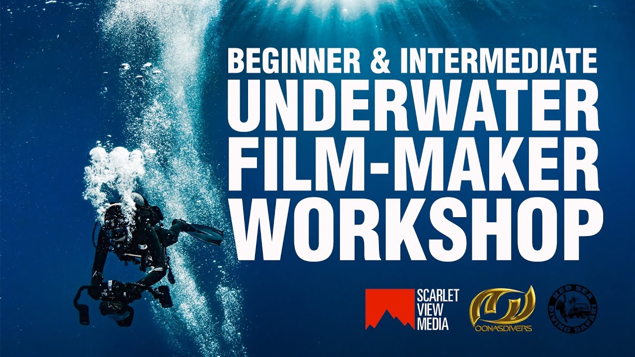 Beginner and Intermediate Underwater Film-Making Workshop with David Diley and Oonas Divers