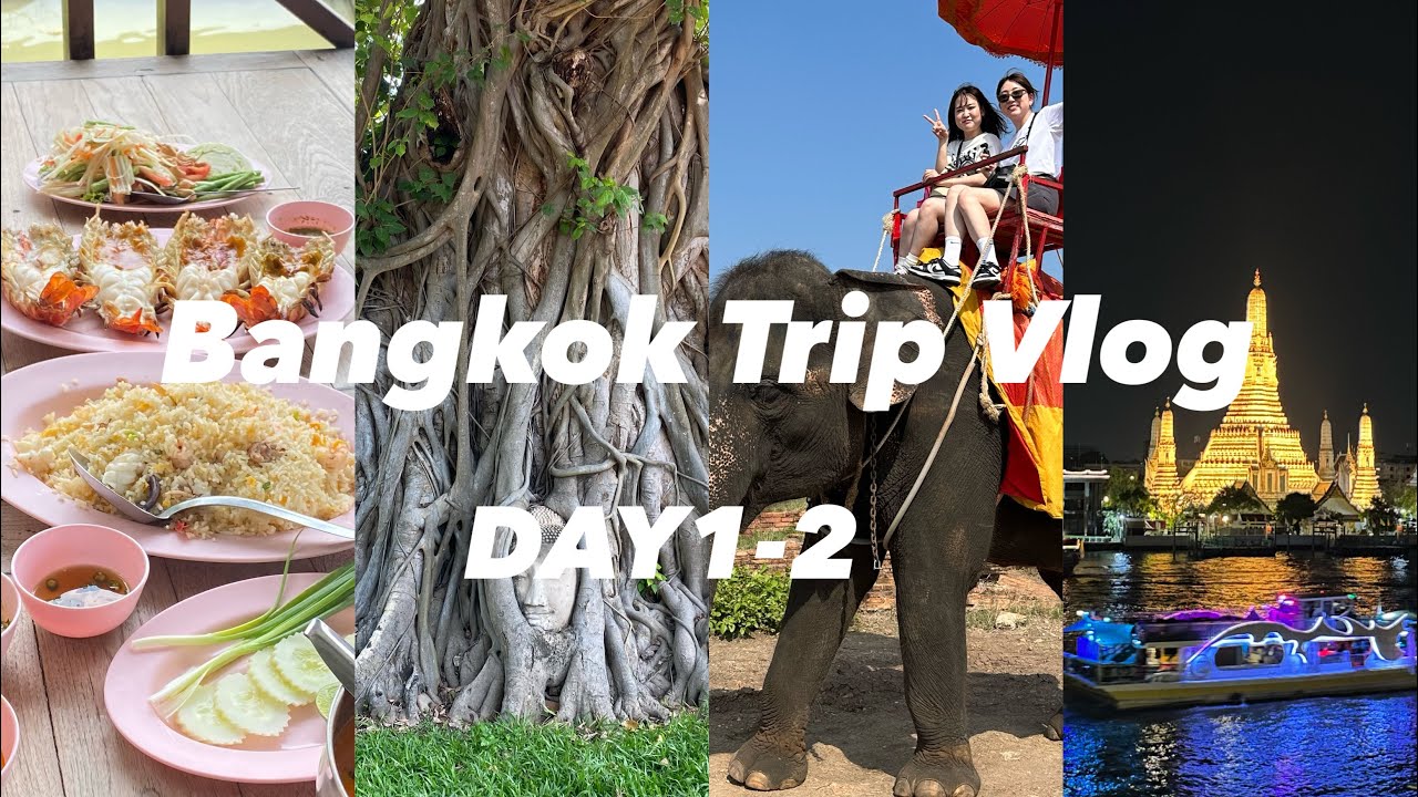 【バンコクvlog】バンコク女子旅/KIX-BKK/早朝到着から充実した1日/トゥクトゥクでアユタヤ観光/アイコンサイアム/カオサン通り/ワットアルンが見えるホテル