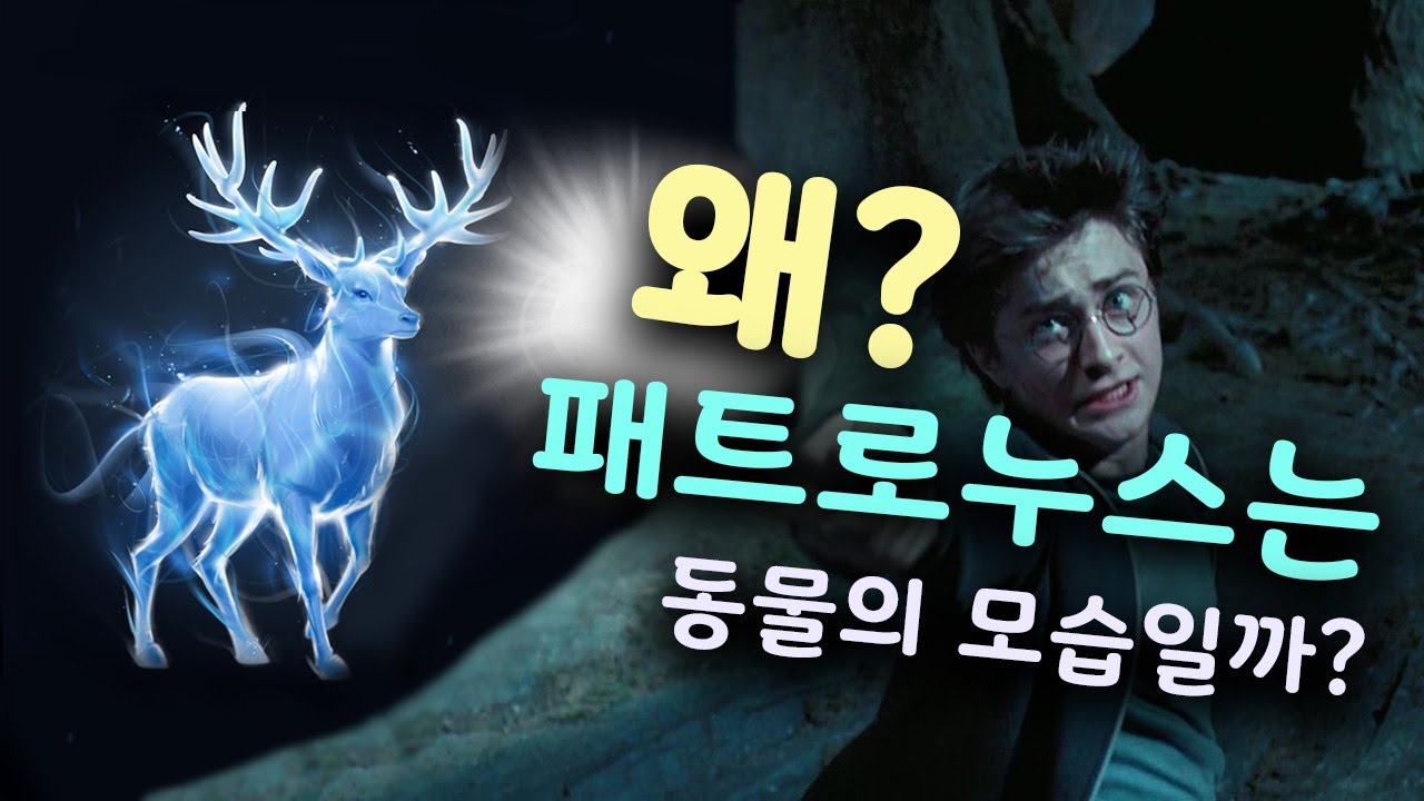 패트로누스는 왜  동물의 형상으로 나타날까??