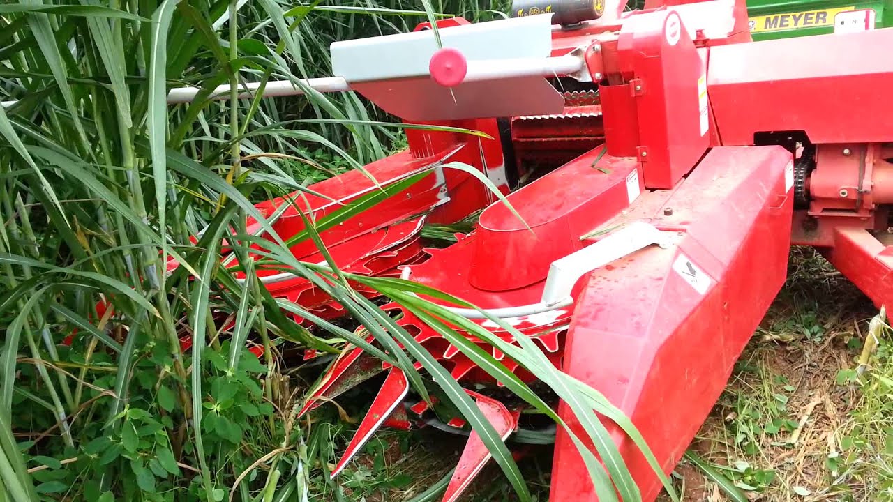 เครื่องตัดหญ้าเนเปียร์ 6 Napier Grass Harvester