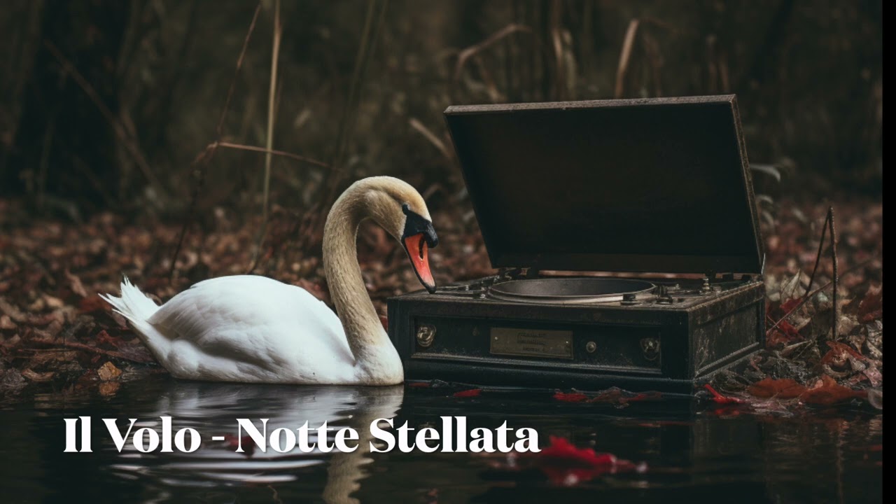 Notte Stellata - Il Volo (Cover)