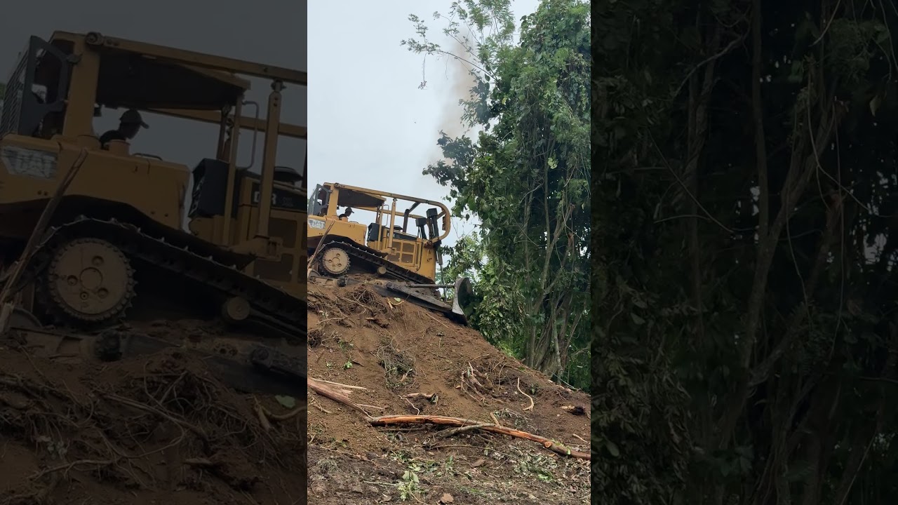 Efficiency of the D6R XL Bulldozer in a Steep Mountain Garden