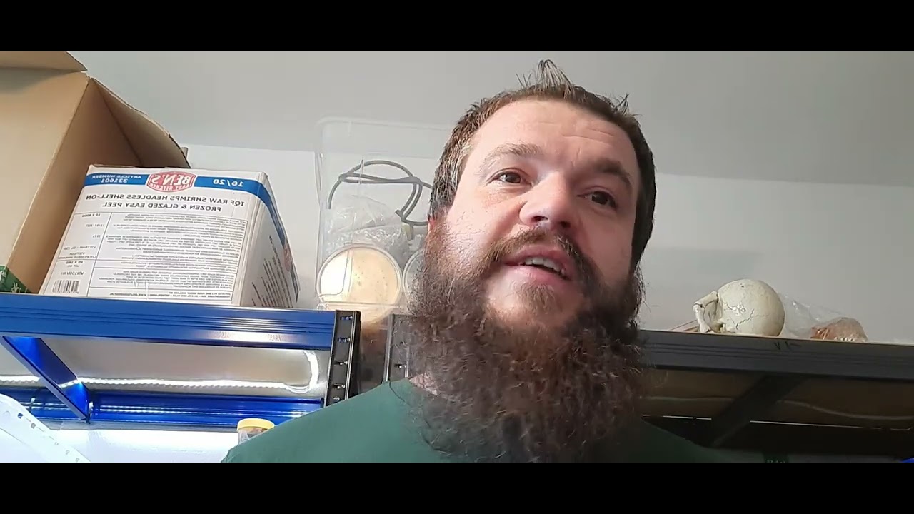 Najdroższe ptaszniki z mojej hodowli!!!🤯🤑💰Plus przegląd prezentów, które dotarły do mnie w tym tyg.😁