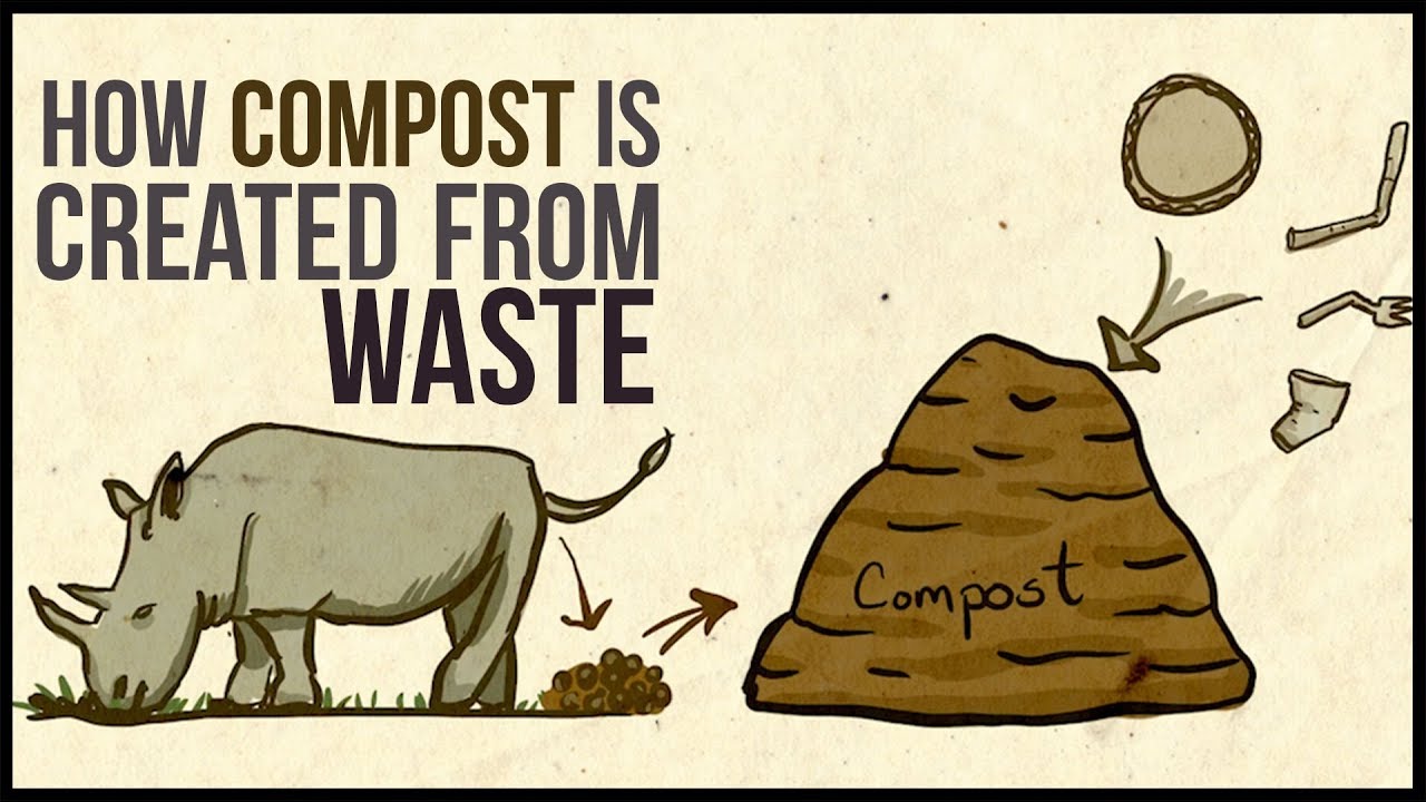 How the NC Zoo Saves 100K a Year! The Science of Compost