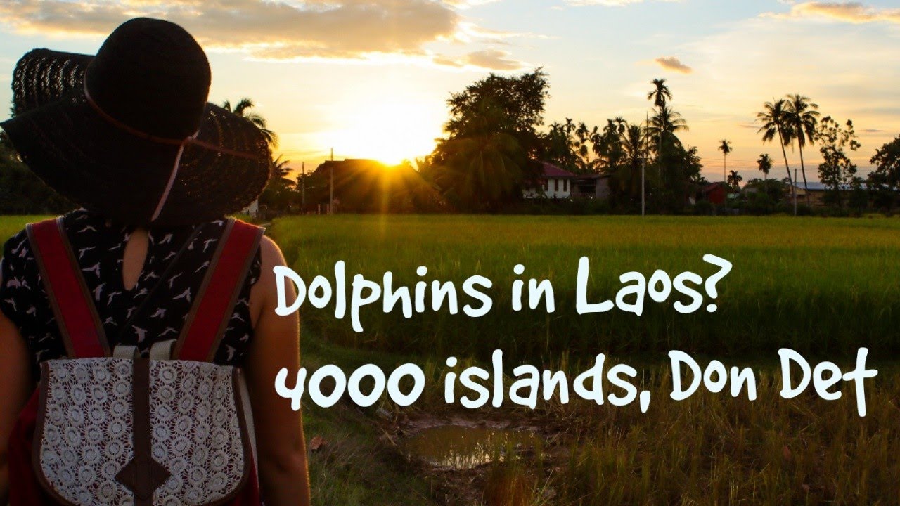 Dolphins in Laos?! - 4000 islands | Don Det | Laos