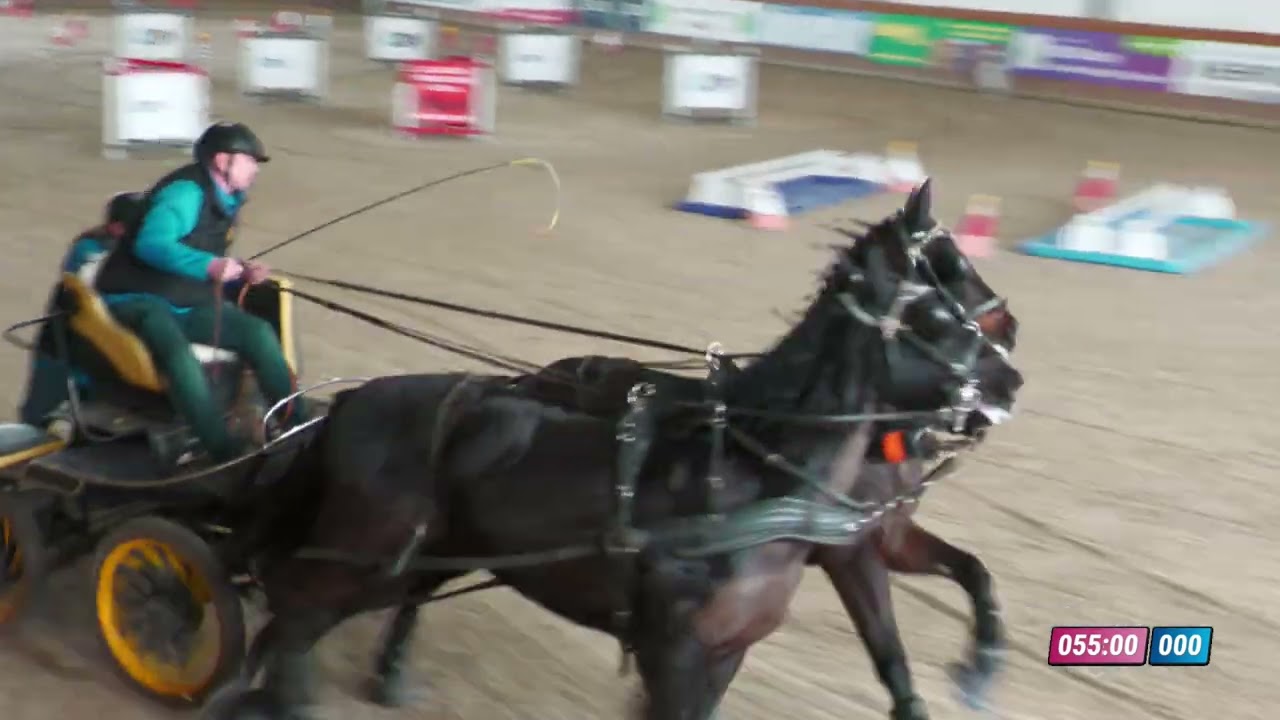 Hobby soutěž dvojspřeží – finále Zimního jezdeckého poháru – Královice, 8. 3. 2026