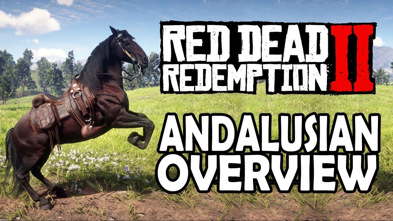 Обзор андалузских лошадей | Red Dead Redemption 2