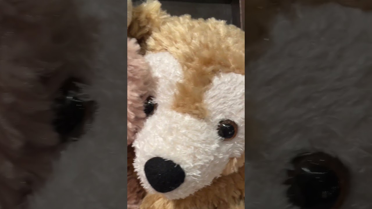 Cuddles & Cuteness With Duffy & ShellieMay 