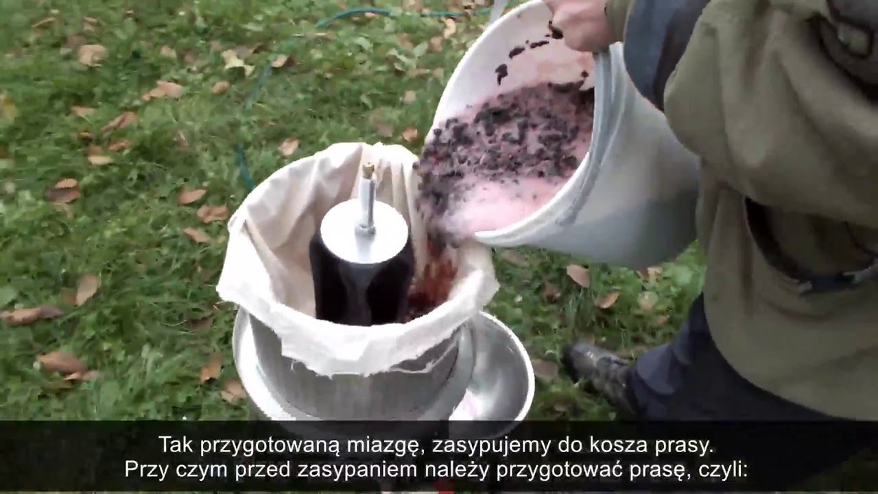 Tłoczenie winogron