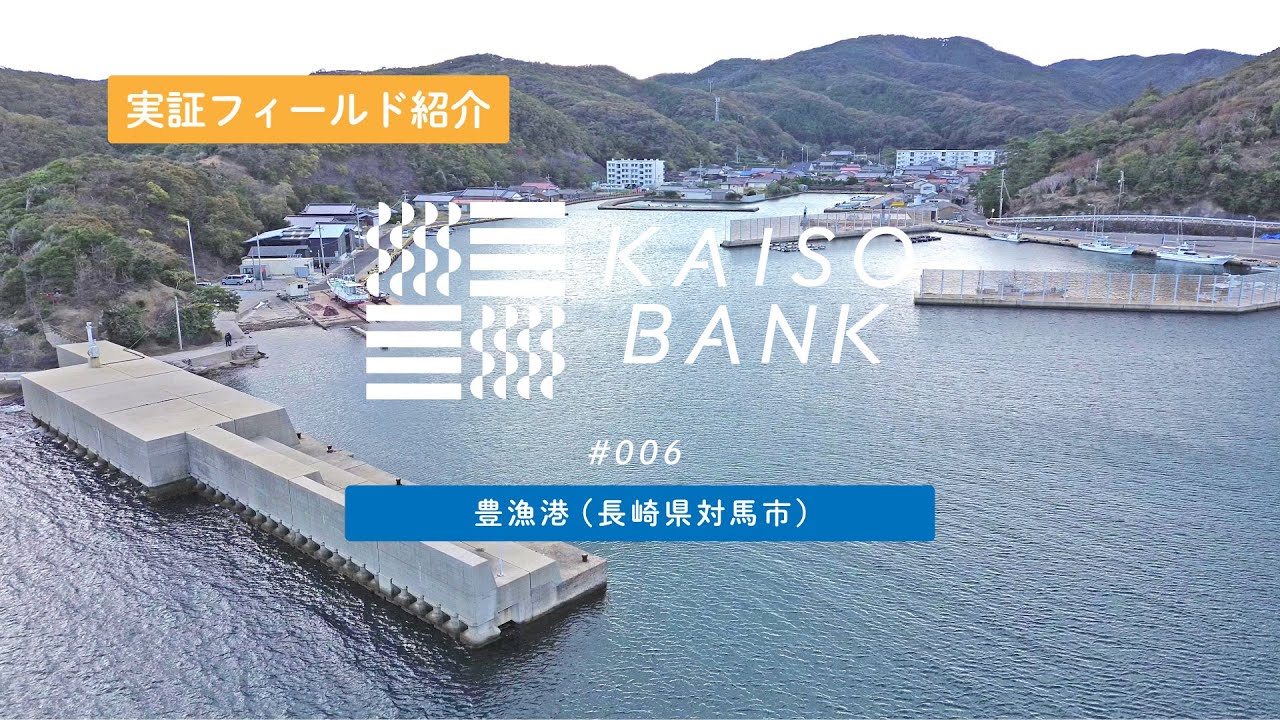 【KAISO BANK 実証フィールド紹介 #006】豊漁港（長崎県対馬市）