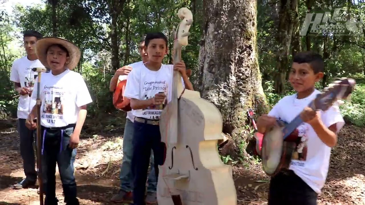 Opatoro que lindo tu eres/Conjunto Musical los Primos