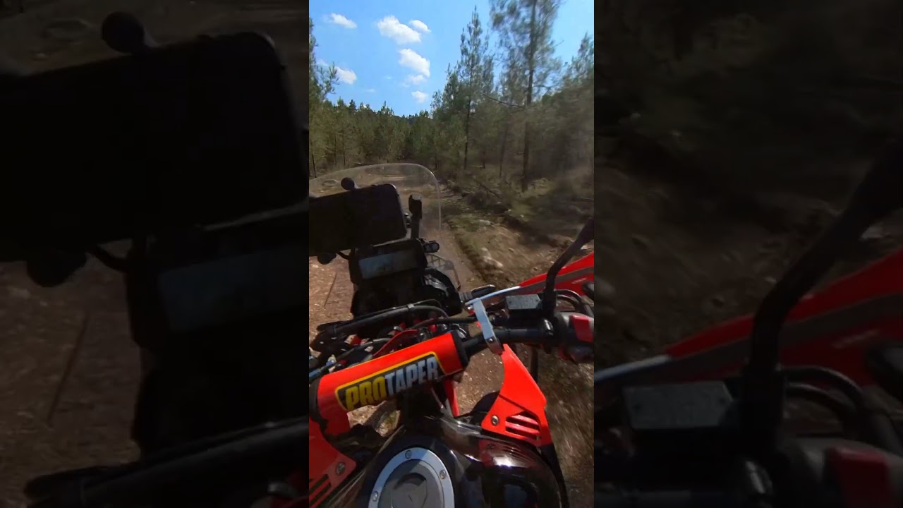 honda crf 250 rally arazi
