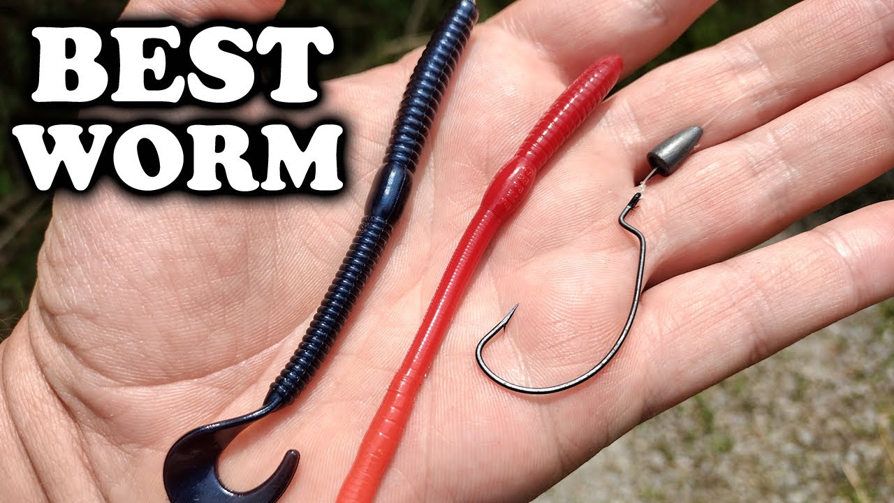 Bass Fishing With Cheap Plastic Worms! Which Worm Catches More Bass?