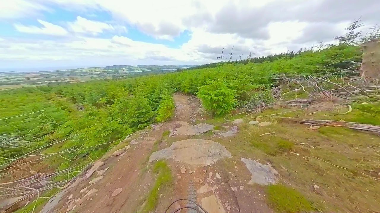 Peaty & Steps, Ballinastoe Black trails.