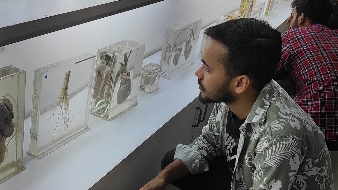BRAIN MUSEUM | FHF vlog | Nimhans Hospital Bangalore, India | ctg language.  #brainmuseum #meuseum