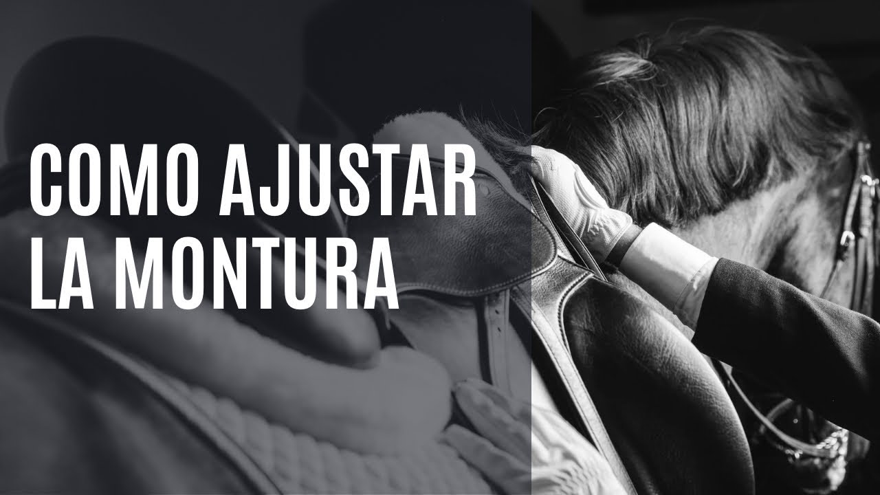 Como ajustar la montura