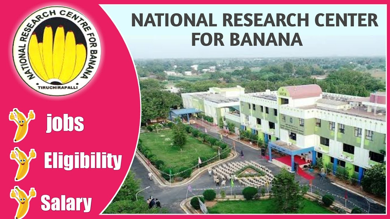 National Research Centre - Banana | தேசிய வாழை ஆராய்ச்சி மையம் | Mr.Dhosth