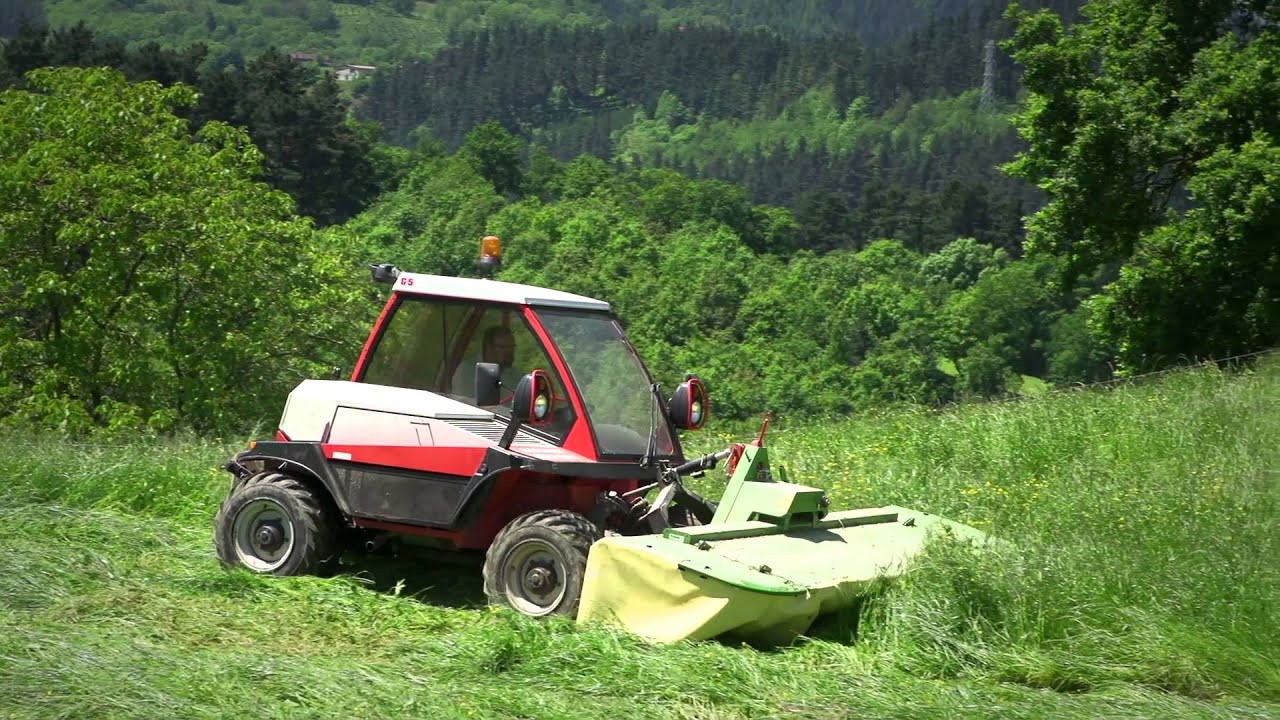 Gaztaren Mamia - Idiazabal