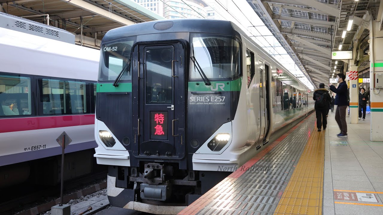 【E257系】東京駅 9番線 発車メロディ + 臨時特急 Mt.Fuji御殿場 発車 / JR東日本