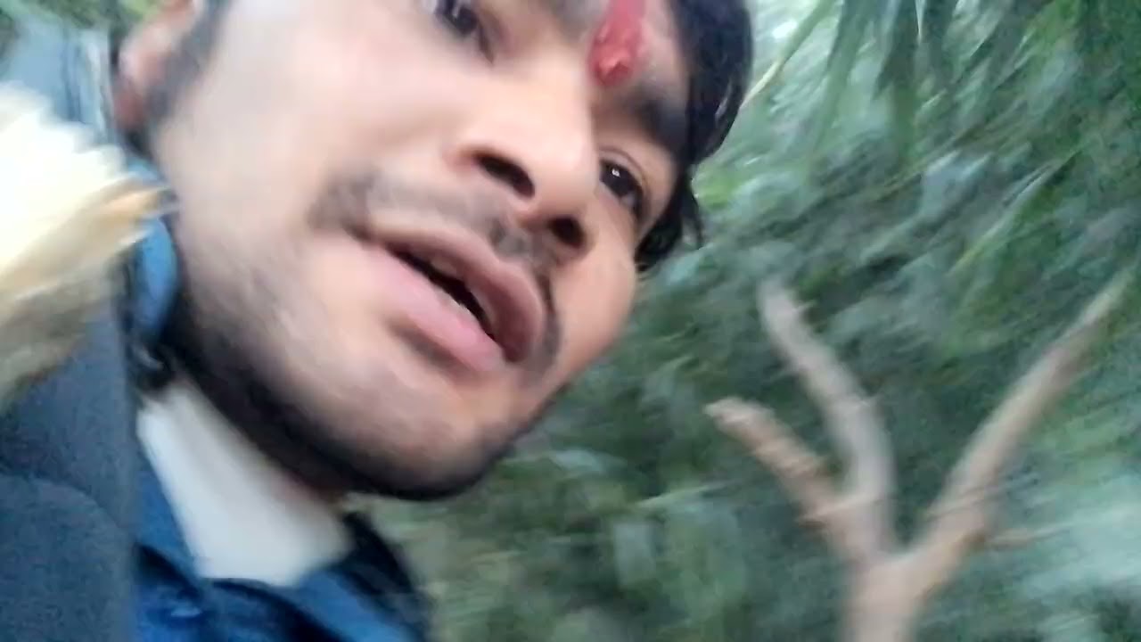 🇮🇳 JUNGLE MOVIE 2024 ll Vikram bhandari. rajall YouTube Strugugliness for Job 