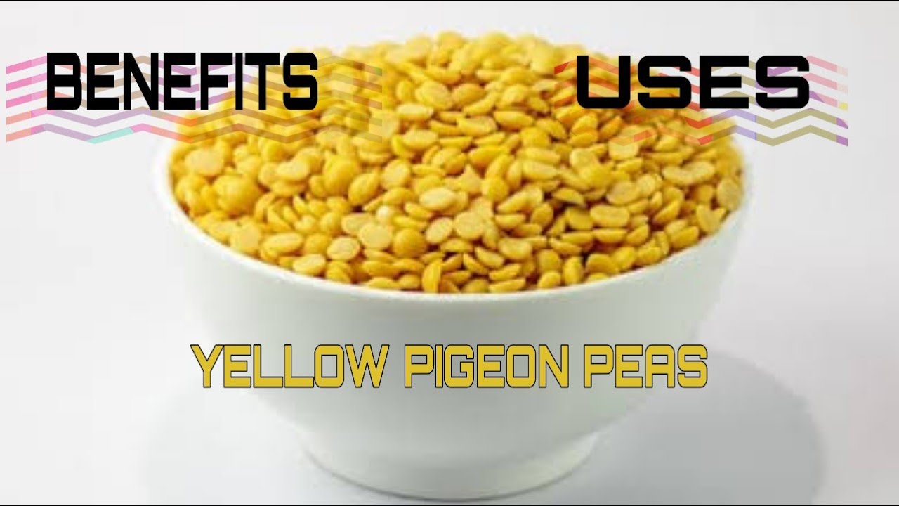 Toor Dal (Yellow Pigeon Peas) (Cajanus cajan) : A Traditional Indian Food