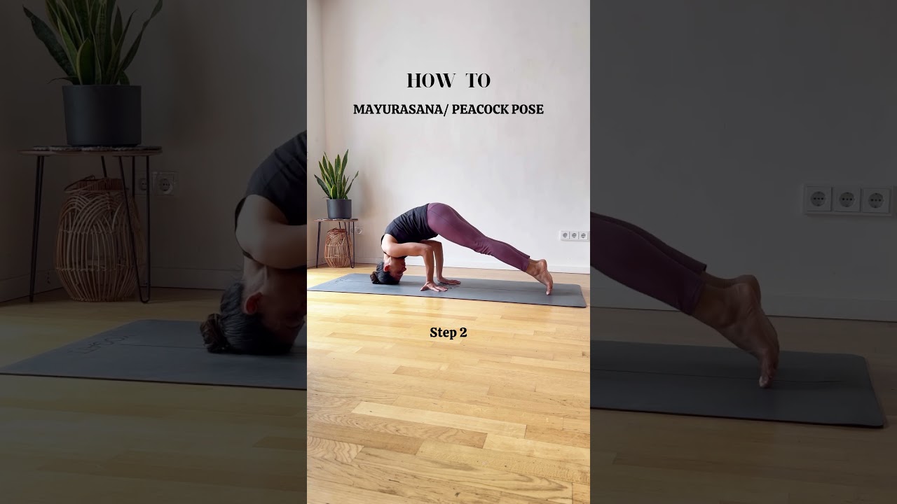 How to: Mayurasana /Peacock pose Intermediate to Advance level posture/asana 