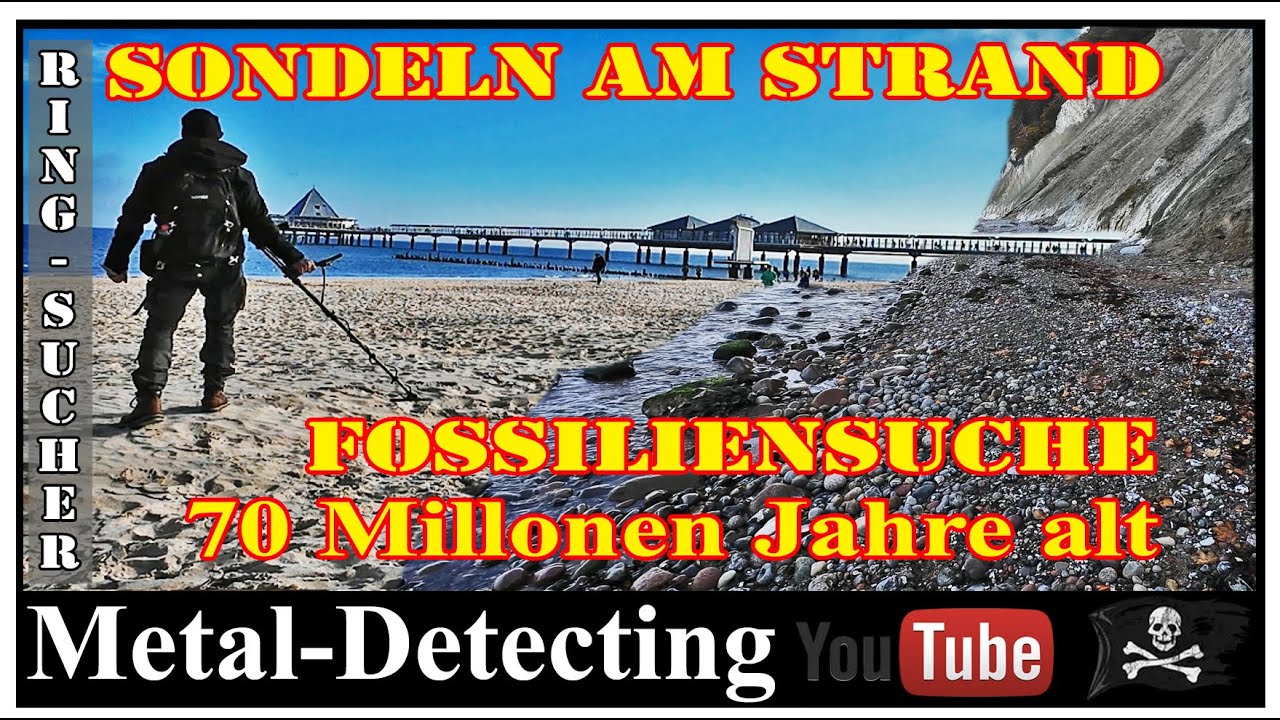 Sondeln mit Detektor auf Usedom und Fossiliensuche auf Rügen. 70 Millionen altes Fossil gefunden.