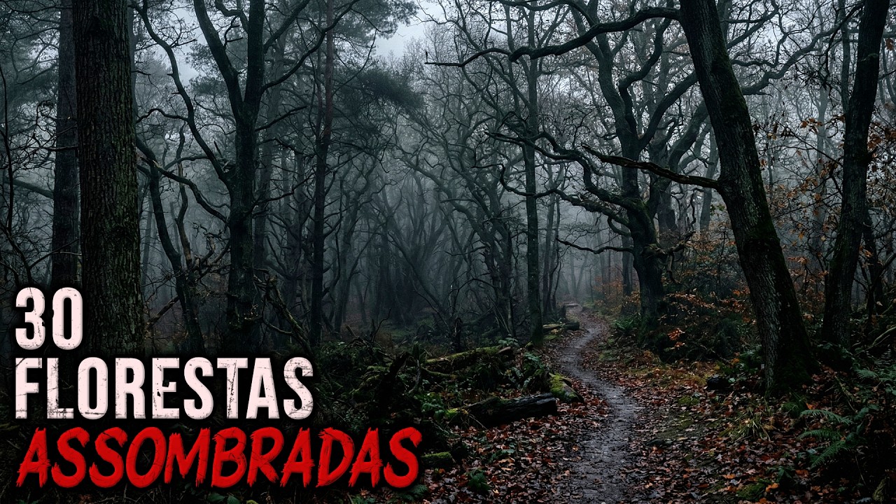 30 Florestas Assombradas Onde Ninguem tem Coragem de Entrar Sozinho