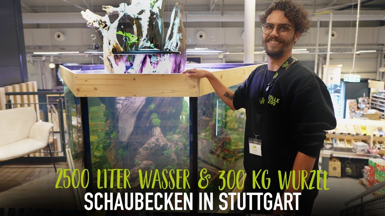 2.500 Liter Wasser & 300 kg Wurzel – Schaubecken in Stuttgart | KÖLLE ZOO