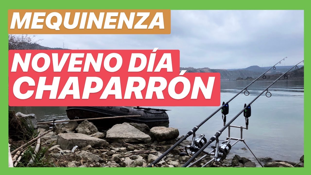 SESIONES CARPFISHING | MEQUINENZA |  NOVENO D&Iacute;A Y CHAPARRON