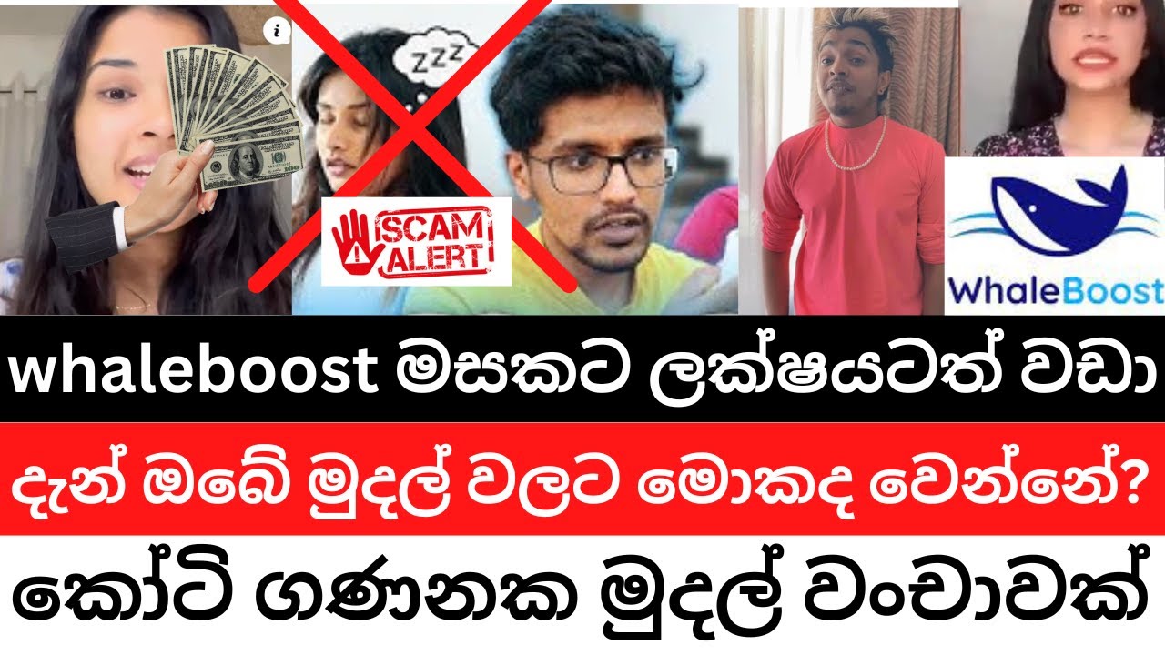 🇱🇰WhaleBoost Scam - නළු නිළියෝ සමඟ කරපු කෝටි ගණනක වංචාව|අහු වෙන්න එපා