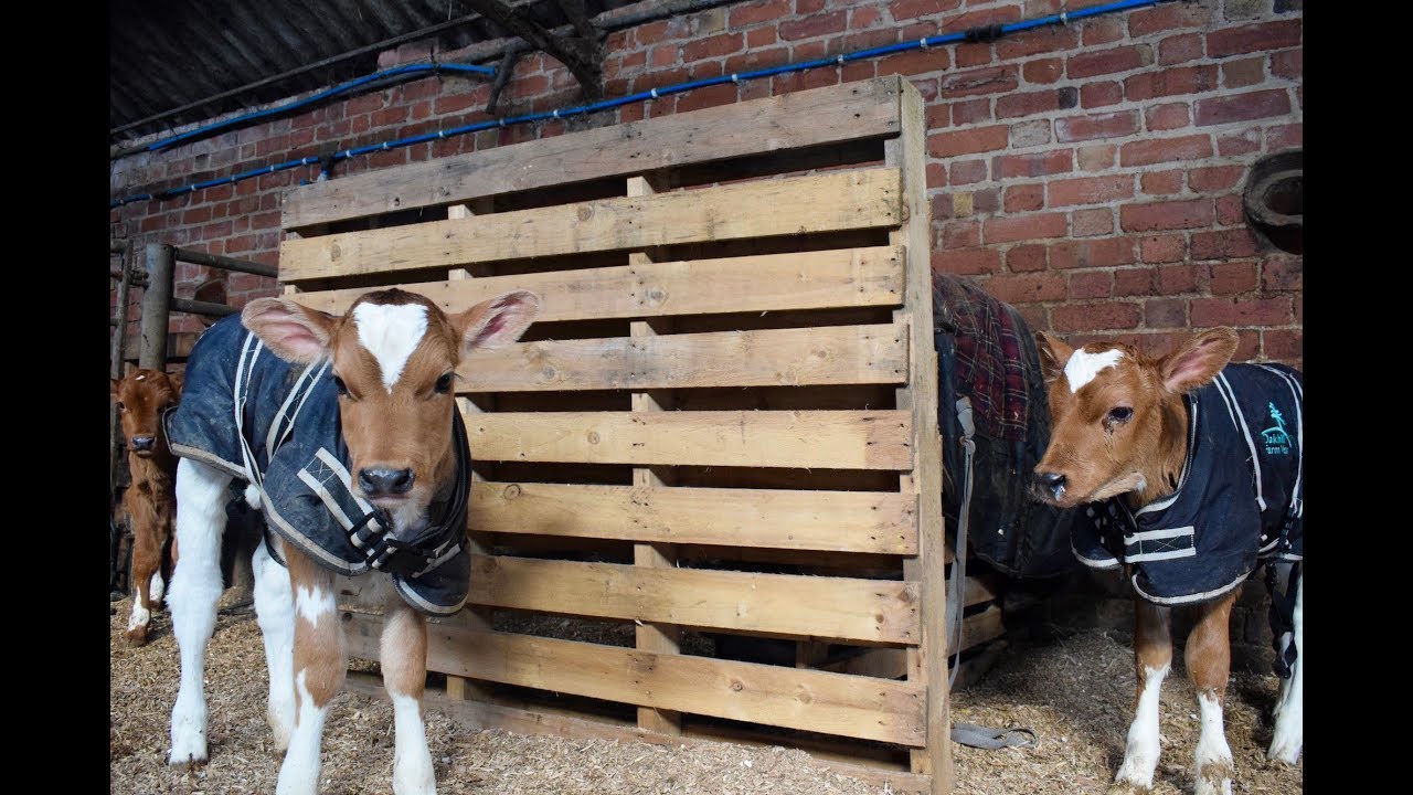 A LITTLE SHELTER COULD MAKE A BIG DIFFERENCE