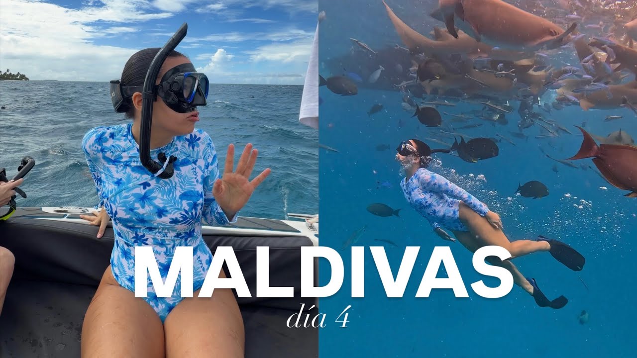 NADANDO CON TIBURONES POR PRIMERA VEZ | MALDIVAS DÍA 4