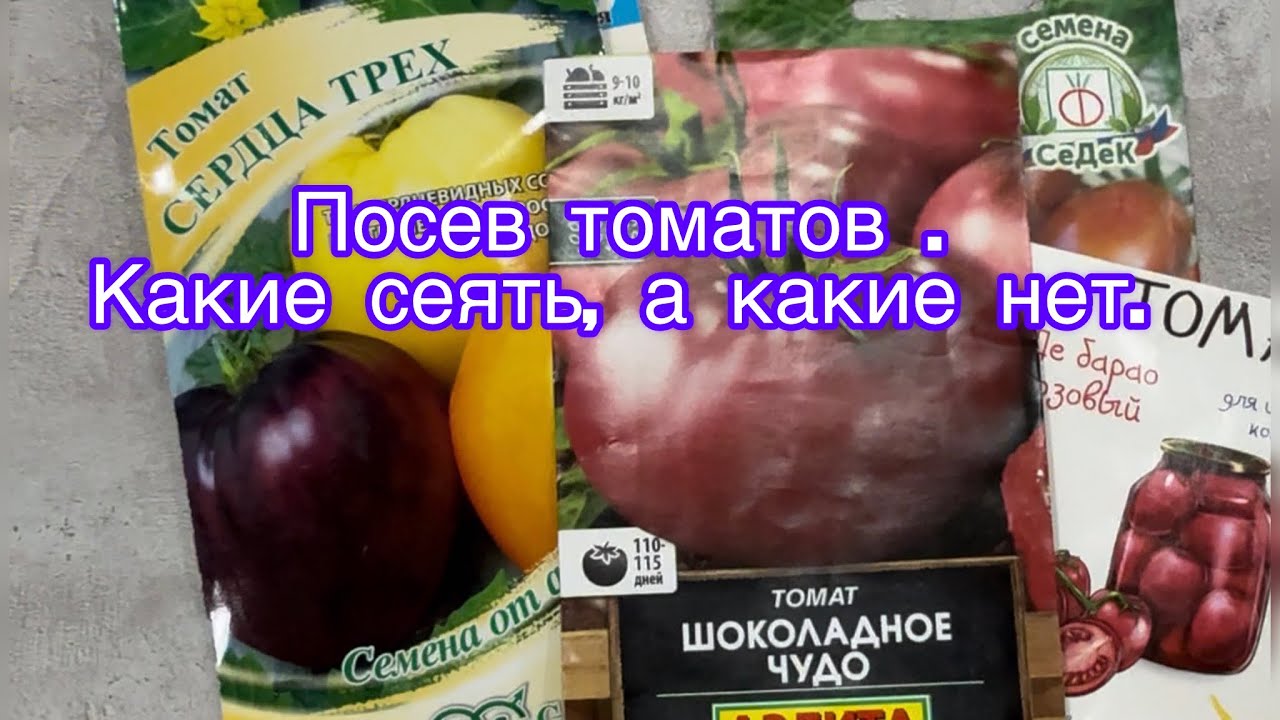 Какие томаты я посею  в этом году.Какие  ошибки не буду допускать .