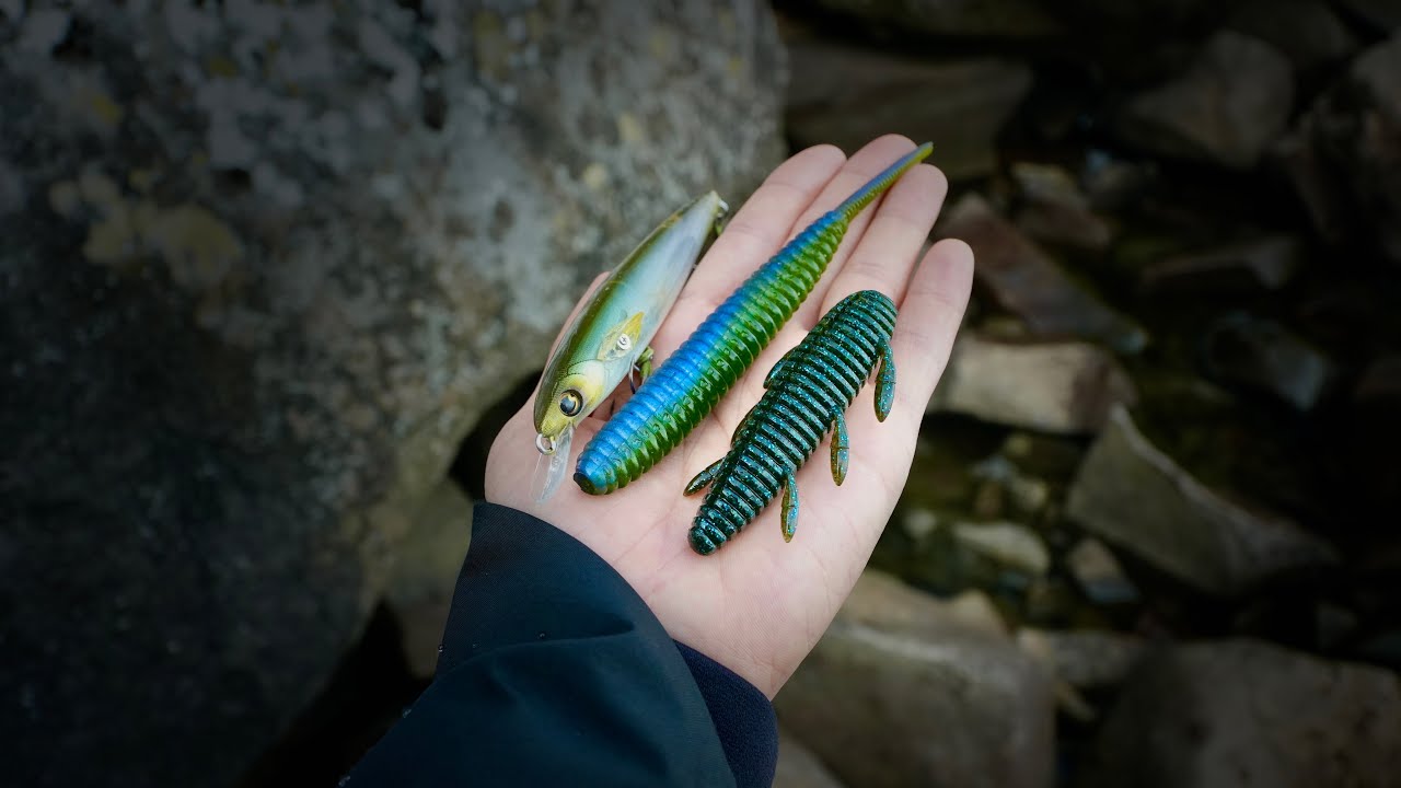 【釣れすぎ】え…。冬だよね？物凄い釣果を叩き出すルアー達。