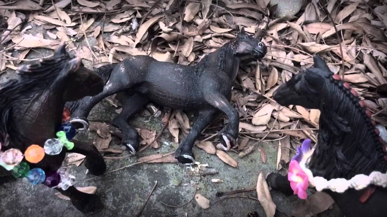 Two Black Cadillacs~Carrie Underwood {Schleich Music Video}