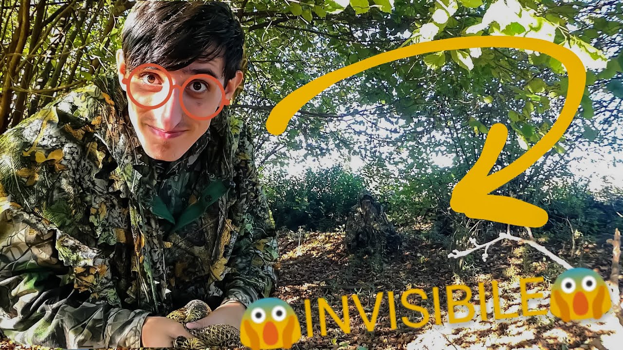 MIMESIS: L'ARTE DI MIMETIZZARSI IN NATURA (Parte1)