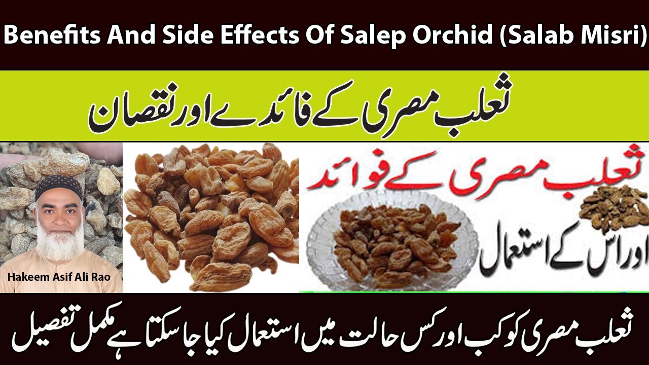 | Benefits And Side Effects Of Salep Orchid (Salab Misri) | Salab Misri Ke Fayde Aur Nuqsaan