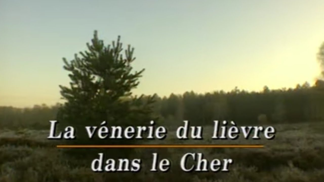Chasse Passion : La vènerie du lièvre dans le Cher