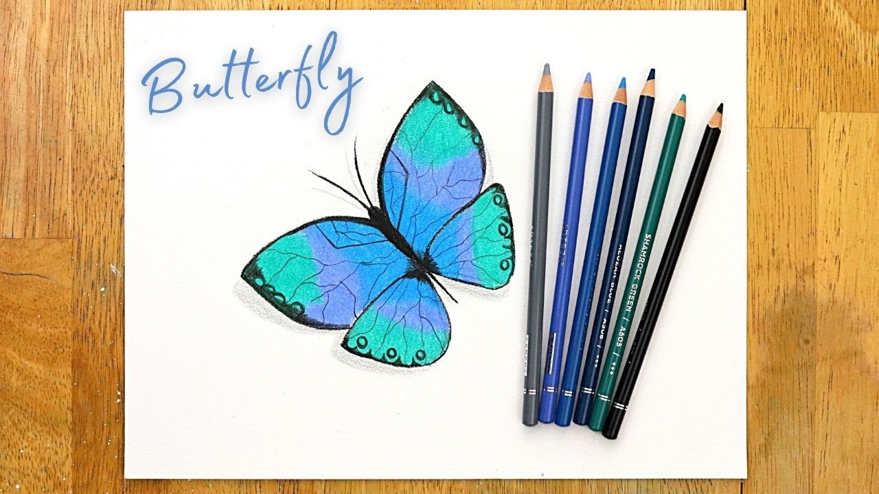 Colored Pencil Art - Butterfly Drawing Step by Step