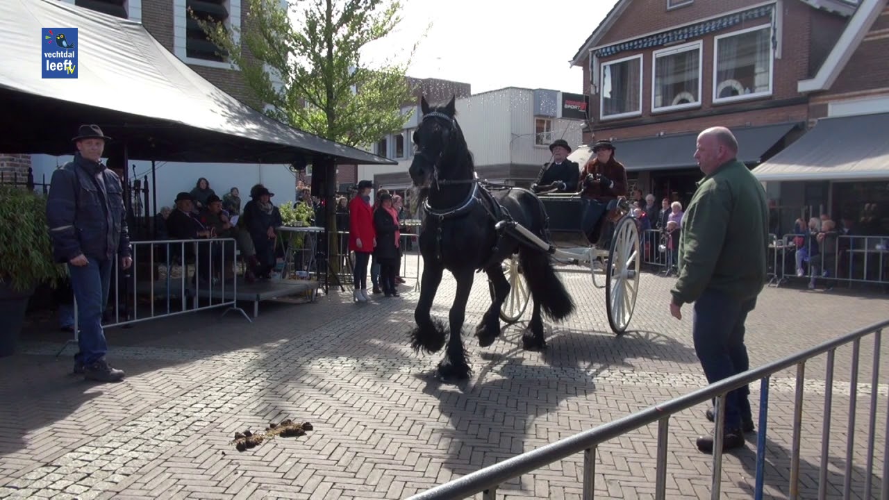 Defilé authentieke koetsentocht Ommen
