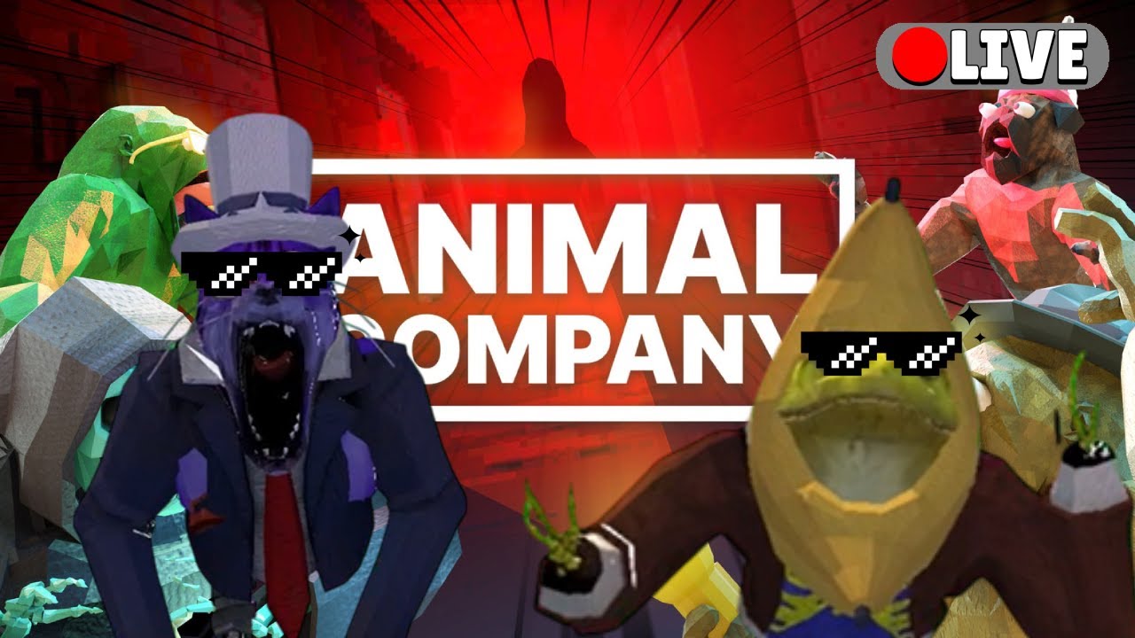 Playing Animal Company With Fans!