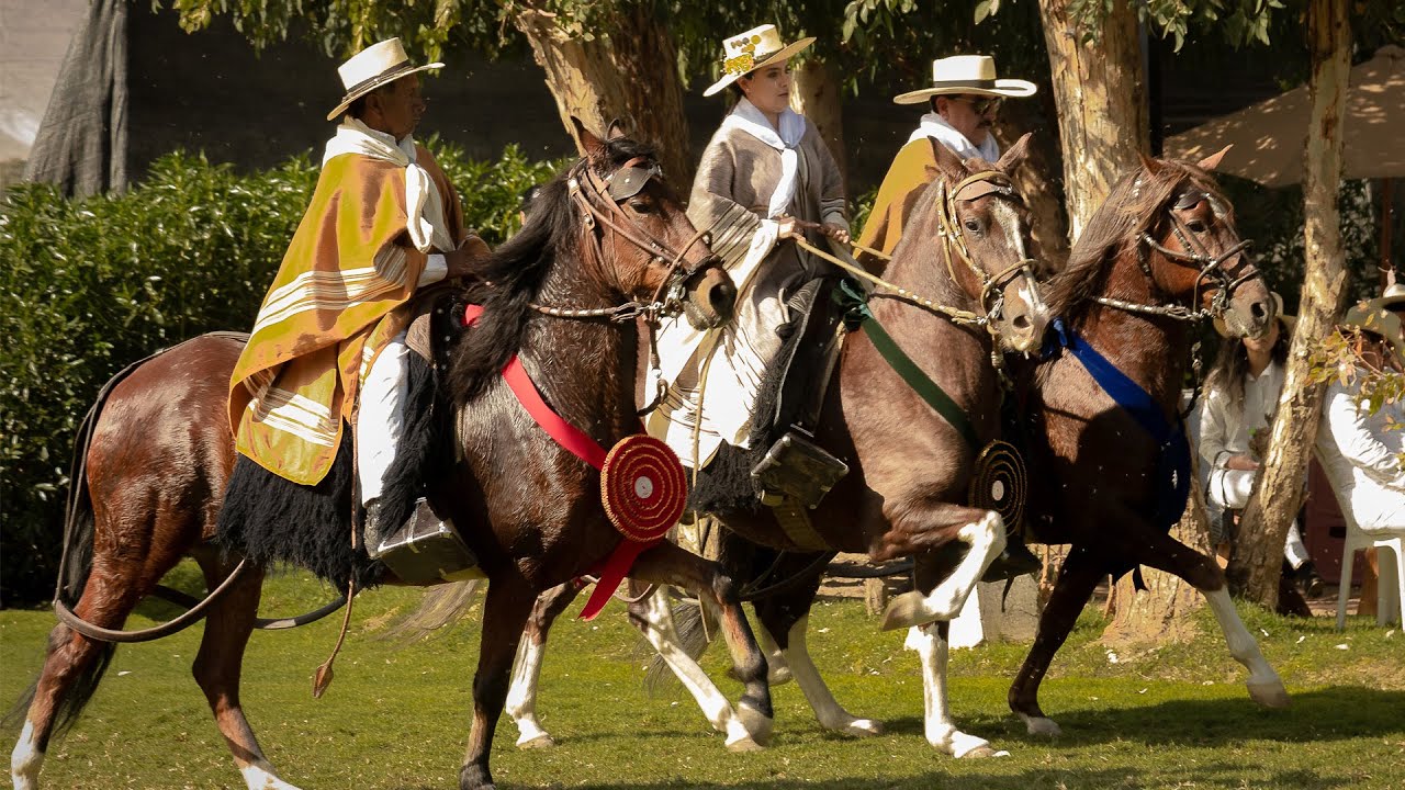 II CONCURSO DE LOS AMIGOS DEL CABALLO PERUANO DE PASO LA JOYA 2022