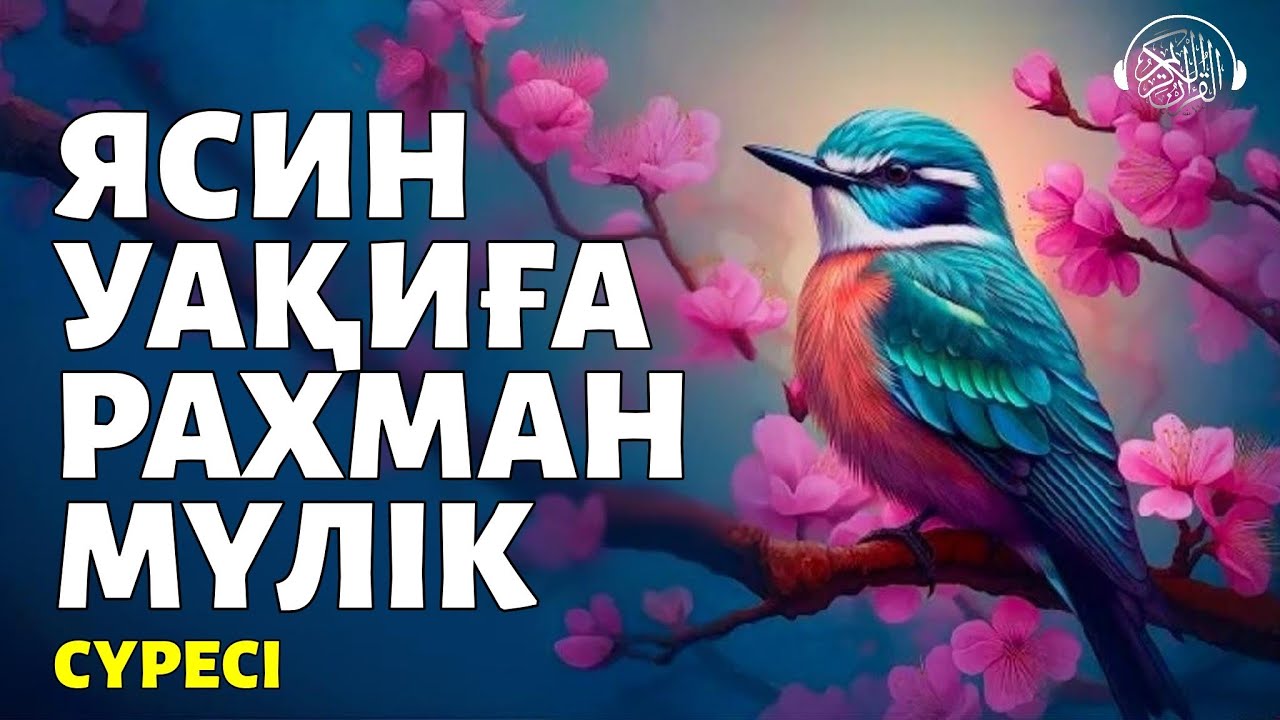 Ясин, Уақиға, Рахман, Мүлік сүресі, Өте Күшті сүрелер! Quran Suresi 