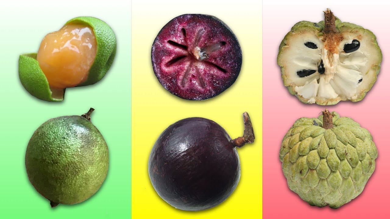 Amazing fruits of the Caribbean | Learn fruits & vegetables | Fun learning for kids