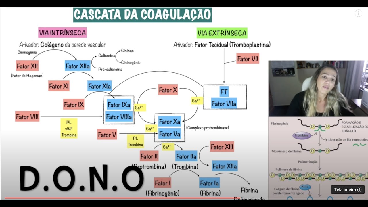 Hemostasia Secundária - Cascata da Coagulação