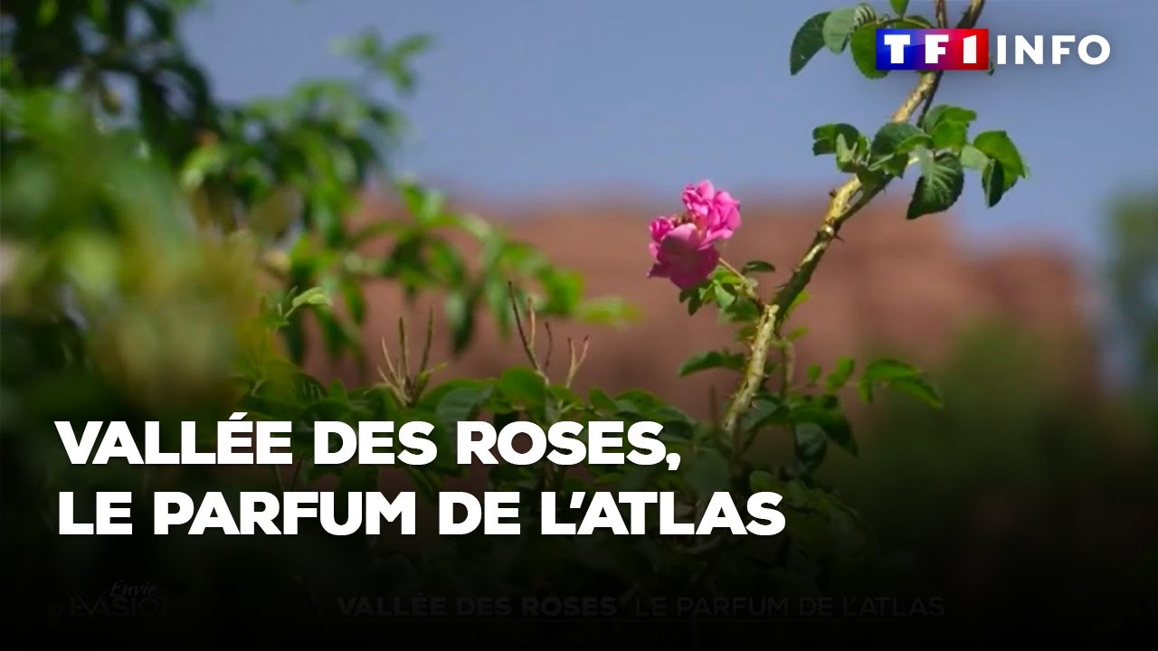 Vallée des Roses, le parfum de l'Atlas