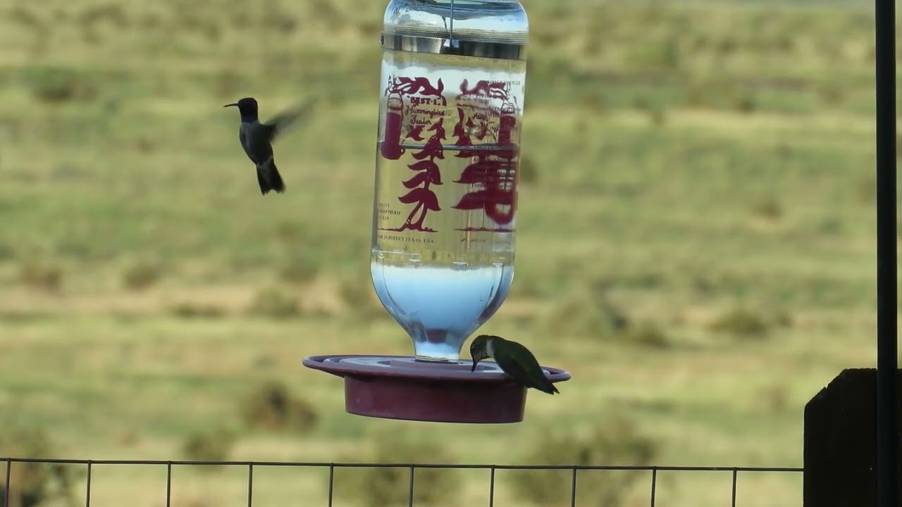 Hummer Airport