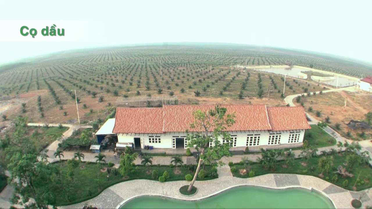 Làm nông nghiệp kiểu HOÀNG ANH GIA LAI (HAG)