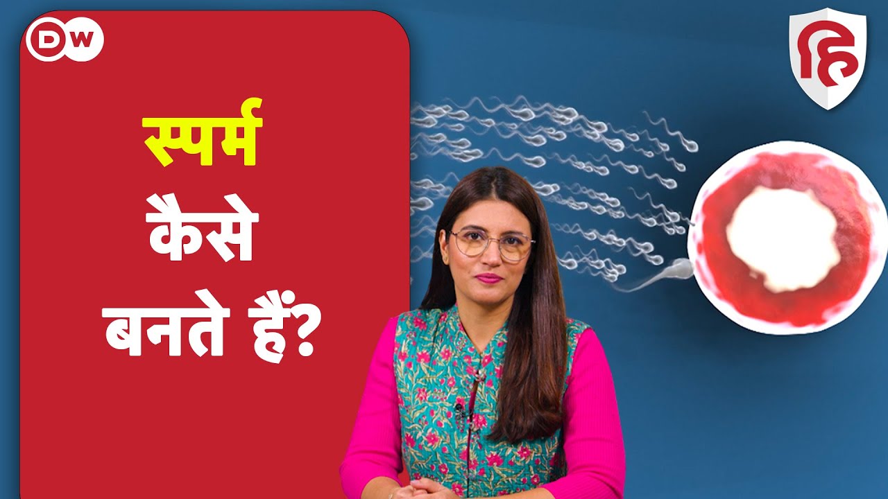 शरीर में स्पर्म बनने की प्रक्रिया |  Scientific process of Semen formation